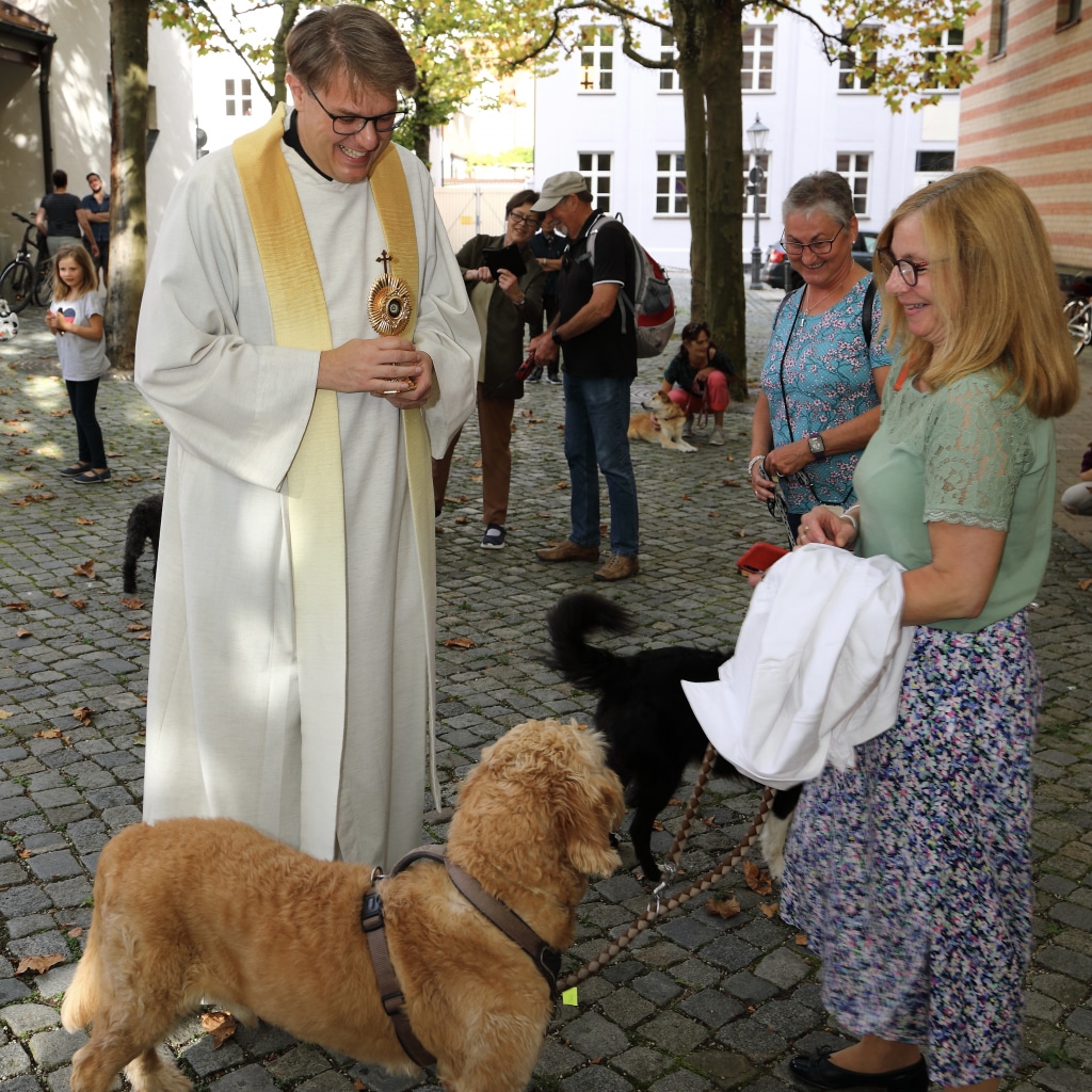 Am Vortag des Gedenktages von Franz von Assisi laden wir zur Segnung der Haustiere ein. Mehr...