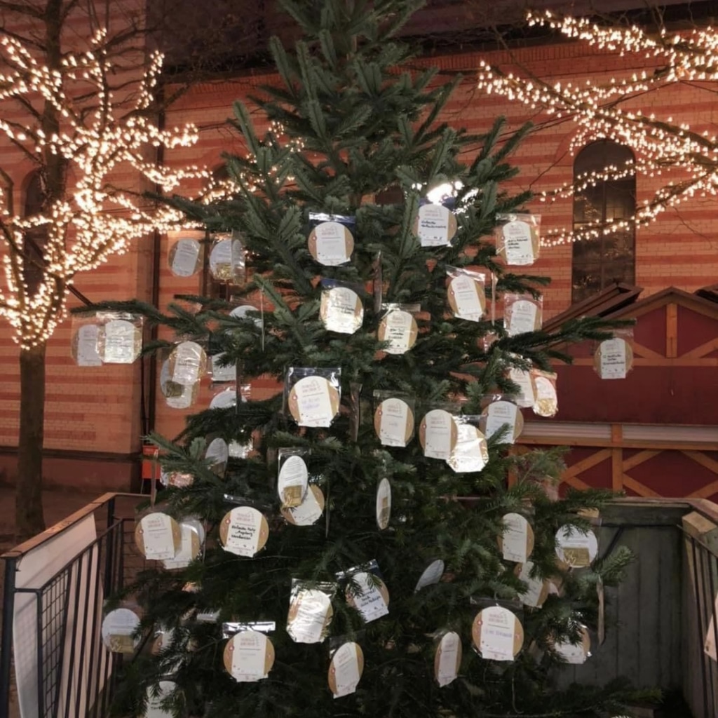Der Friedberger Wunschbaum steht wieder vor dem Divano. Kleine Weihnachtsfreuden für Friedberger Senior:en.
