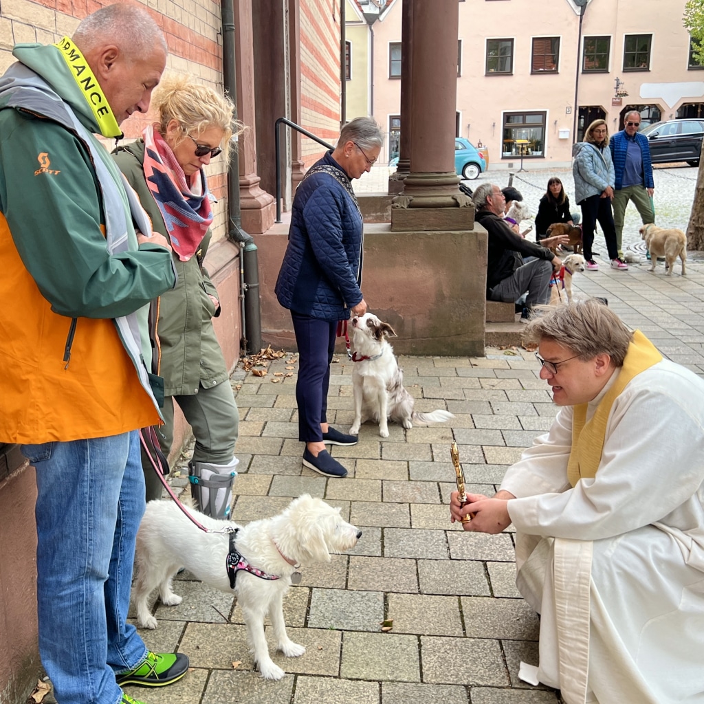 Ein paar Tage nach dem Gedenktag des hl. Franziskus fand in unserer Pfarrei eine Tiersegnung statt, mit erstaunlichem Zuspruch.